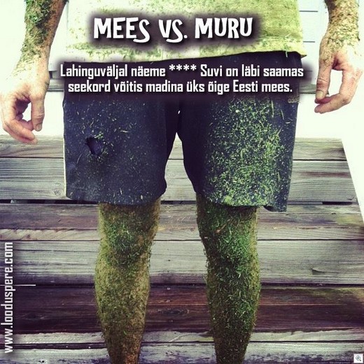 Mees-vs-muru