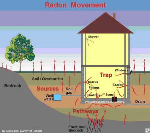 Radoon-kortermajad-kortermajades